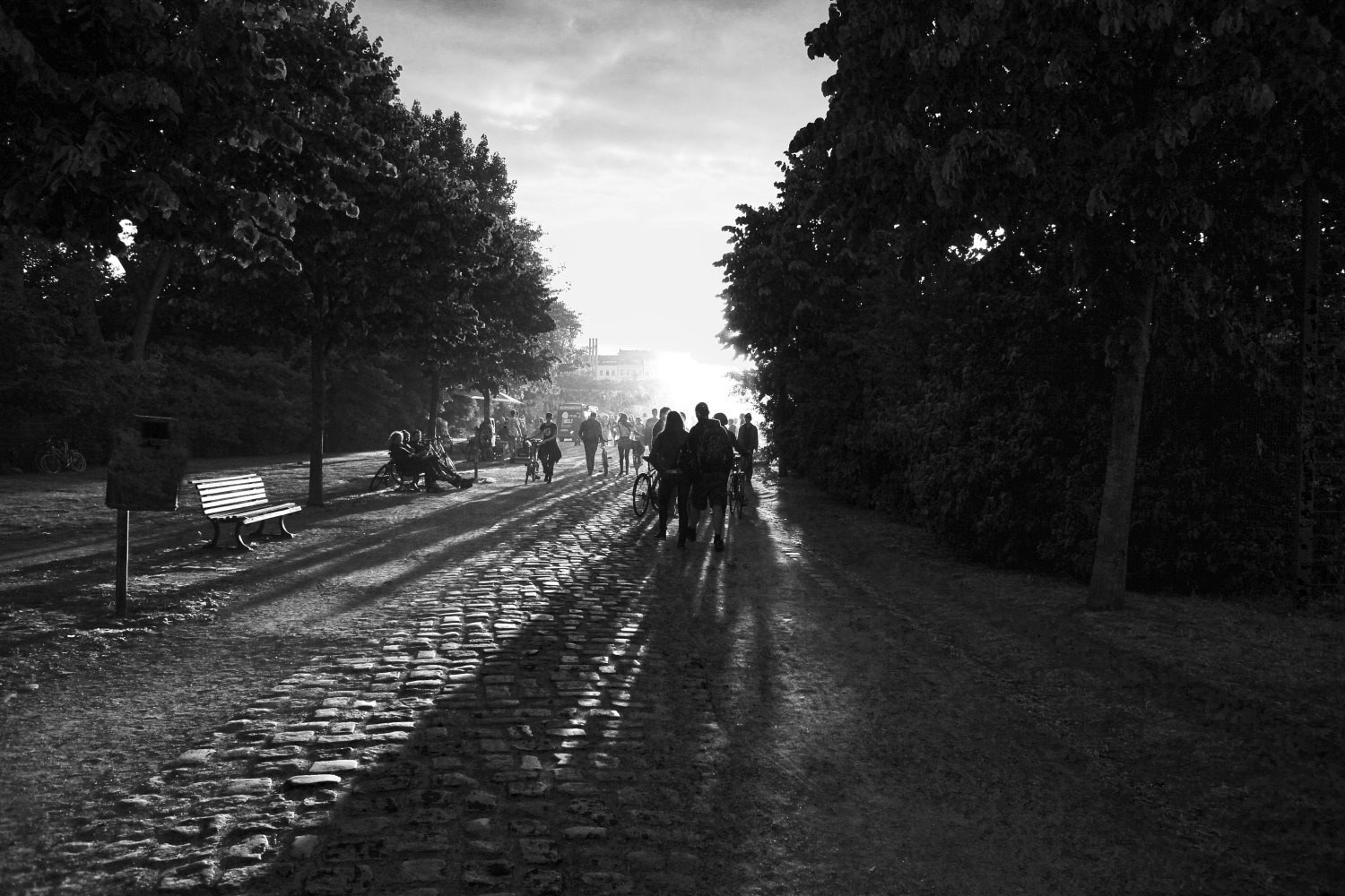 Schwarzweiß-Fotografie eines baumgesäumten Weges im Görlitzer Park Berlin mit Besuchern und Bänken