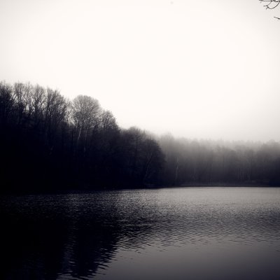 Neblige Winterlandschaft am Nikolassee in Zehlendorf mit kahlen Bäumen und ruhigem Wasser