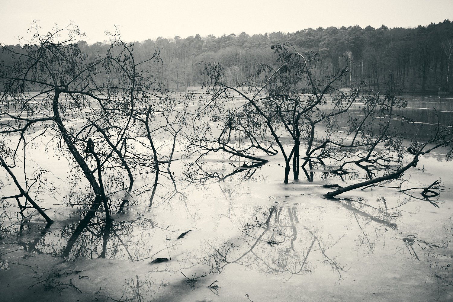 Gefrorener Schlachtensee im Winter mit kahlen Bäumen und Schnee, Schwarz-Weiß-Fotografie